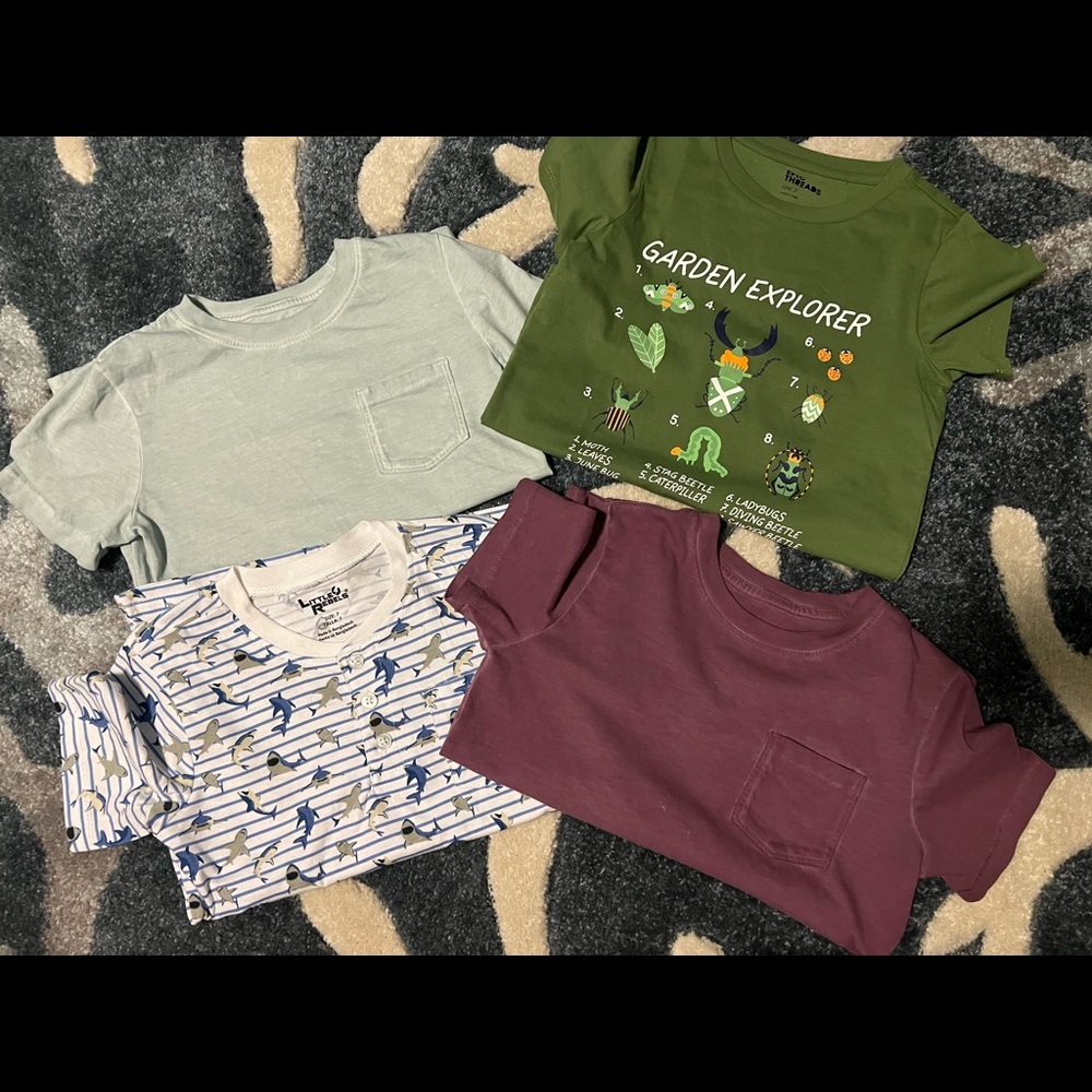 LOT OF BOY TSHIRTS (4) size 6/7 small